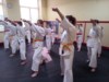 karate Ostrowiec