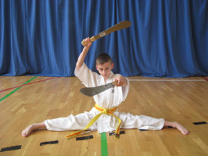 Karate Ostrowiec, Karate w Ostrowcu, judo Ostrowiec, tae kwon do Ostrowiec, boks Ostrowiec