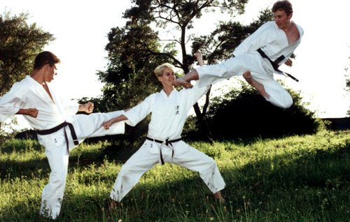 Karate Ostrowiec, Karate w Ostrowcu, judo Ostrowiec, tae kwon do ostrowiec, boks Ostrowiec